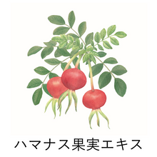 画像をギャラリービューアに読み込む, yameKAGUYA フェイシャルエッセンス
