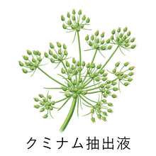 画像をギャラリービューアに読み込む, yameKAGUYA フェイシャルエッセンス