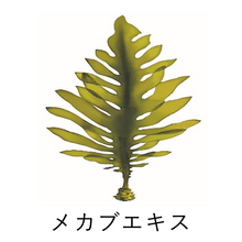 画像をギャラリービューアに読み込む, yameKAGUYA フェイスウォッシュ